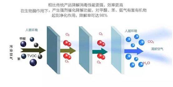 光觸媒、生物酶、空氣凈化器，哪家除甲醛公司效果好？