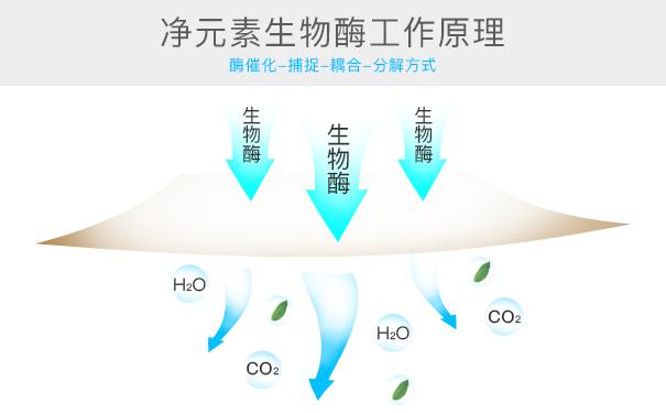 光觸媒、生物酶、空氣凈化器，哪家除甲醛公司效果好？