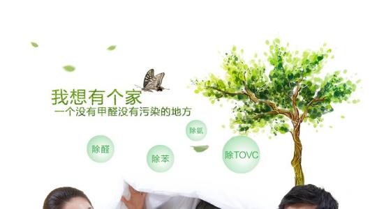 效果好、專業(yè)的光觸媒除甲醛產(chǎn)品有那些？
